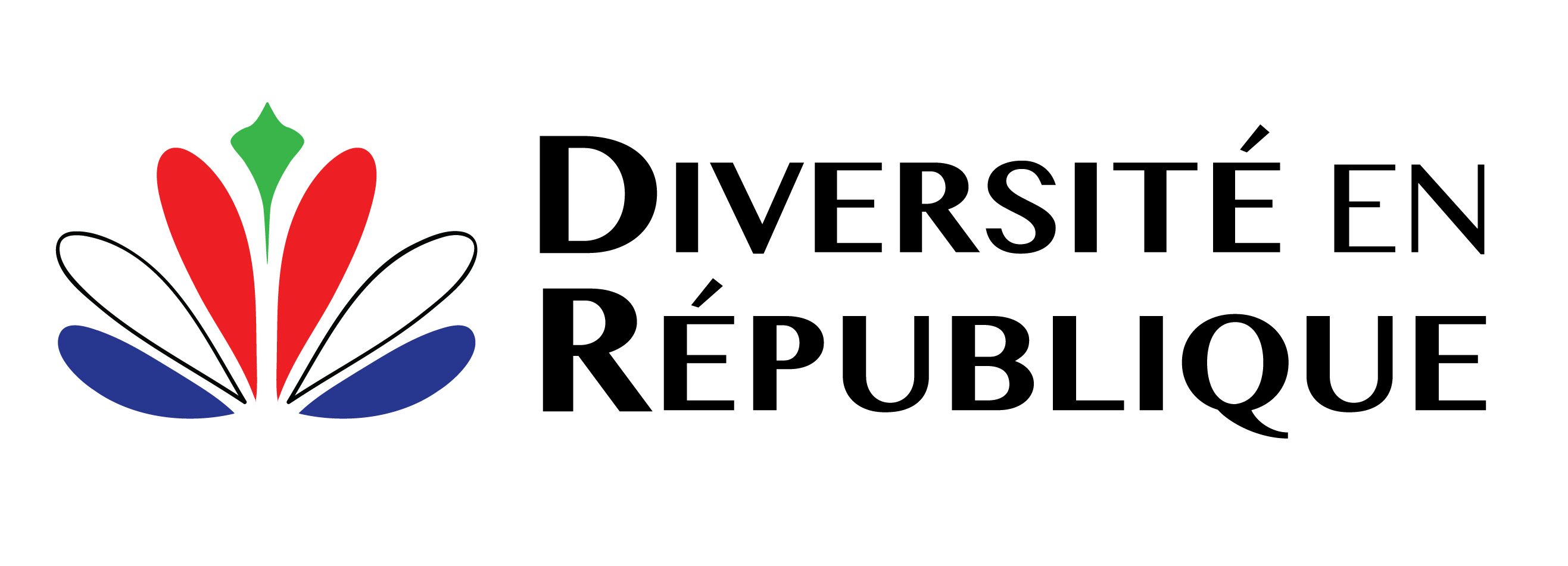 diversite logo