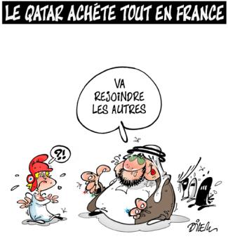 qatar achete france