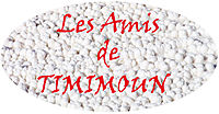 les amis timimoun logo