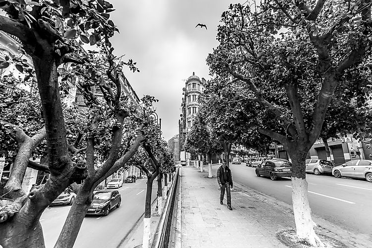 MATARI Jamel Entre deux rues