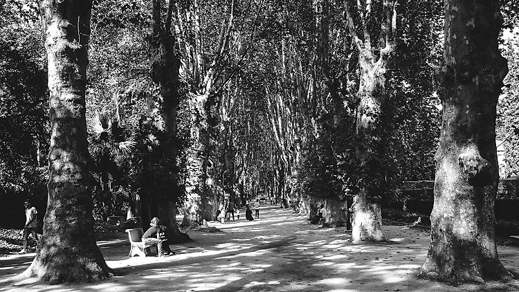 MEDJATI Walid Yassine The Garden 06