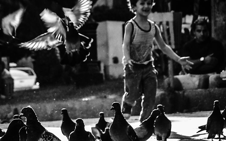 MEDJATI Walid Yassine The Kid 02