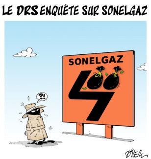 dilem 2013 04 08 le drs enquête sur sonelgaz